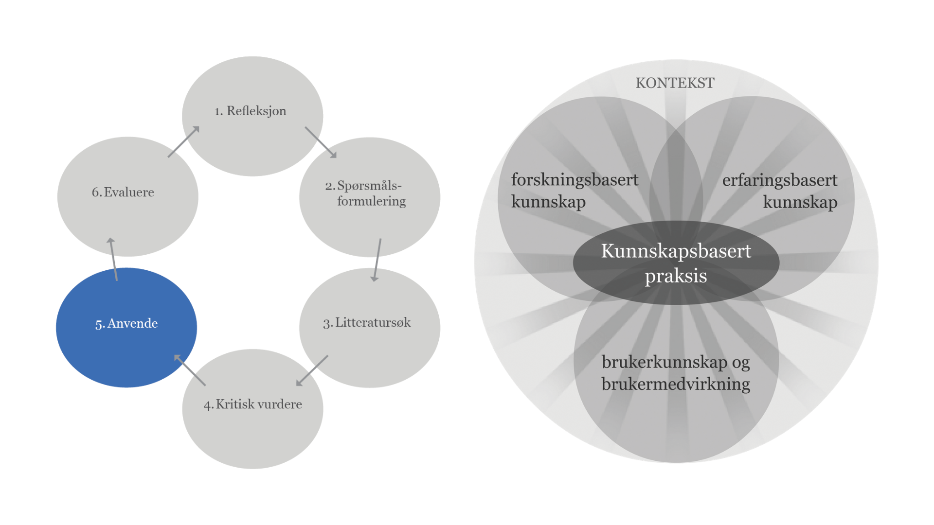 5. Anvende - Helsebiblioteket