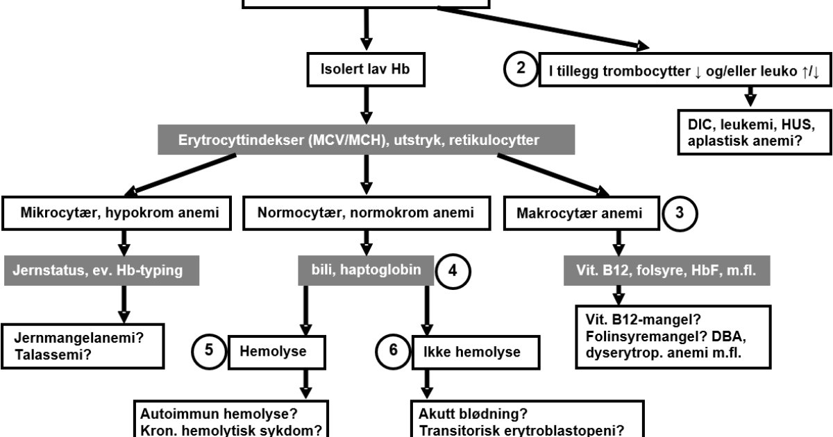 Veileder Gynekologi