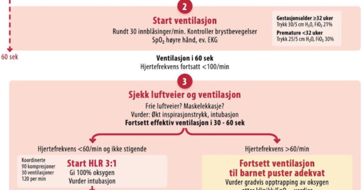 Veileder Gynekologi